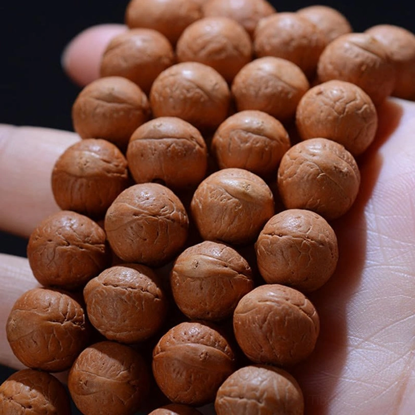 Hand-held Bodhi seed prayer beads macro close-up showing matte brown seeds with natural eye markings