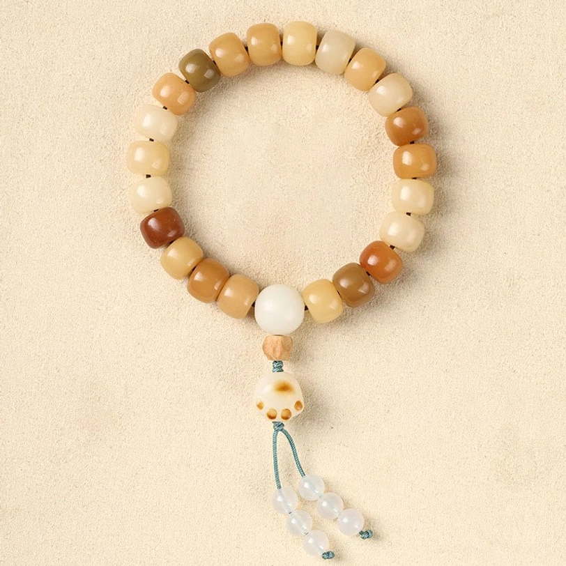 Bodhi seed cat claw tassel bracelet with Tibetan spiritual protection symbol, natural beads with decorative tassel accent detail