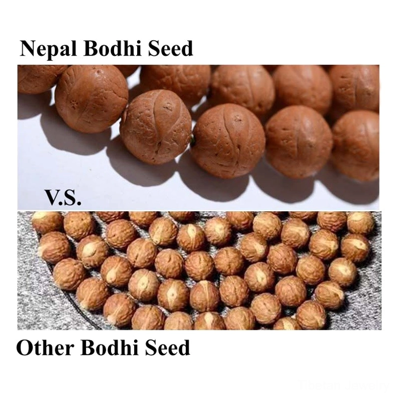 Bodhi seed mala beads bracelet worn for meditation practice - spiritual wellness daily companion