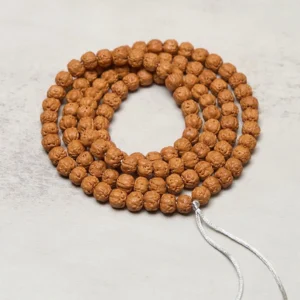 Bodhi seed prayer mala arranged in neat circle loop with silver tassel cord detail on light surface