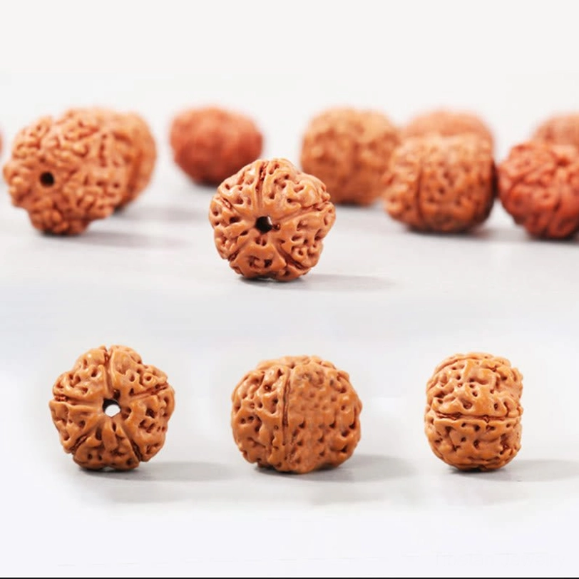Loose natural Rudraksha Bodhi seeds showing varied shapes and authentic textured surfaces