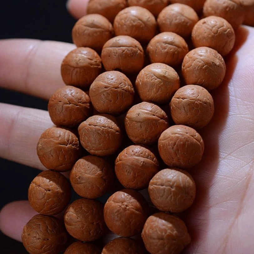 Bodhi seed prayer beads in hand showing natural brown round beads with prominent natural markings and texture