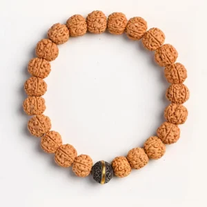 Single Rudraksha Bodhi seed spiritual bracelet with central Tibetan silver barrel bead on white backdrop