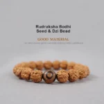Rudraksha Bodhi Seed Dzi Bead bracelet top-down flat lay view with brown ridged seeds and central brown Dzi Bead on light gray background