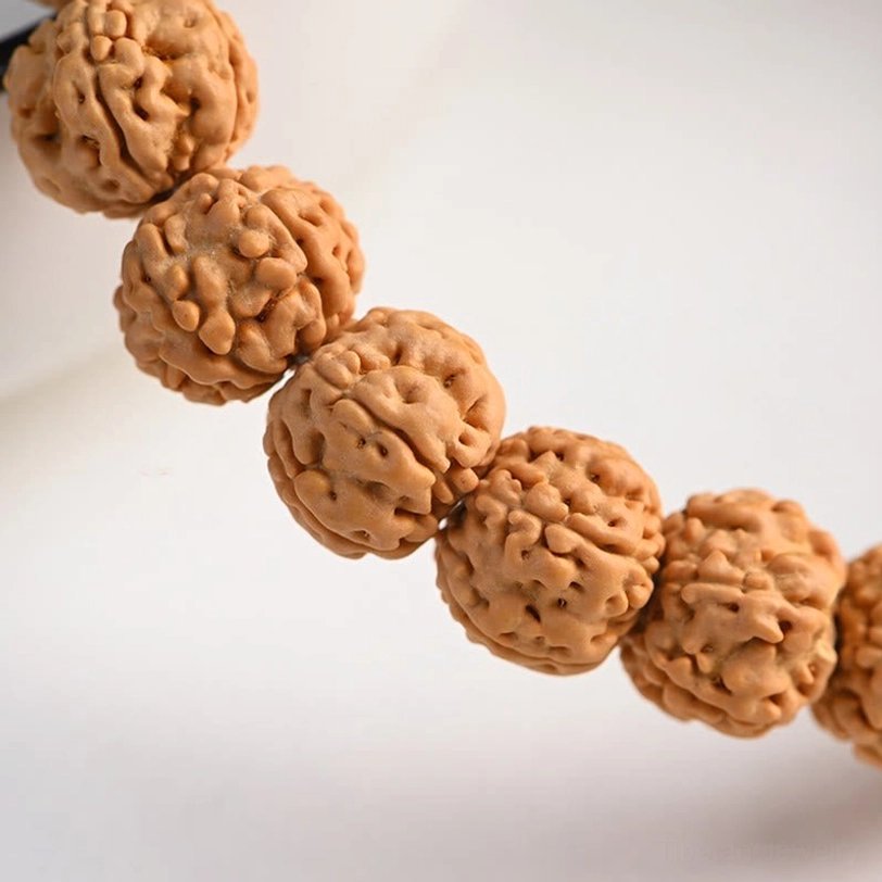 Close-up detail of deeply grooved Rudraksha Bodhi seed texture showing natural ridged surface pattern