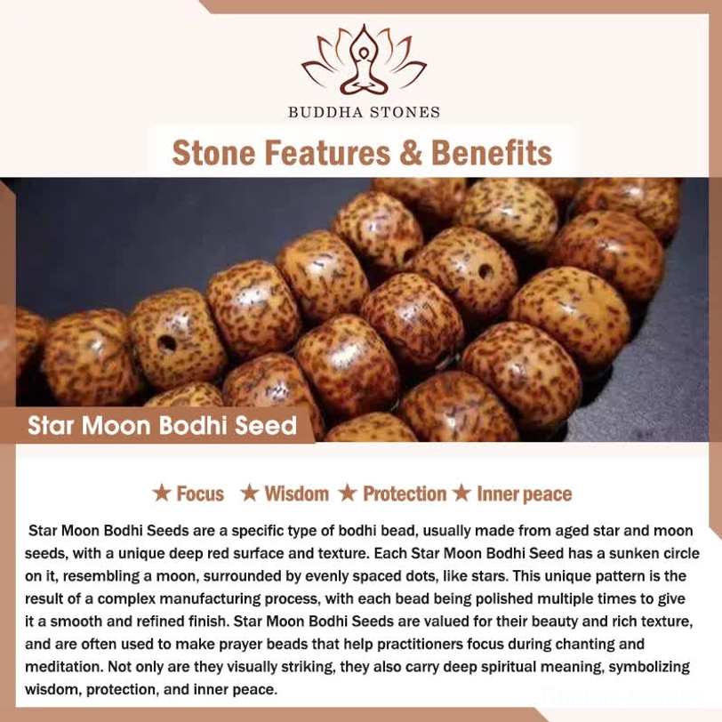 Star Moon Bodhi seed close-up showing aged brown textured surface with natural moon and star patterns, spiritual benefits description