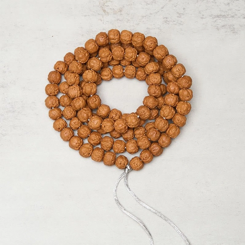 Tibetan 108 bodhi seed mala beads overhead view showing complete prayer necklace with carved beads and silver tassel
