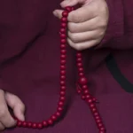 108 Abelia Biflora mala beads prayer bracelet with red wooden beads and tassel pendant held in hands against traditional maroon tibetan robe background