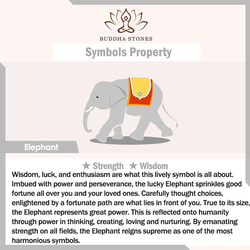 tibetan blessed sterling silver ring with spiritual protection and transformation symbols