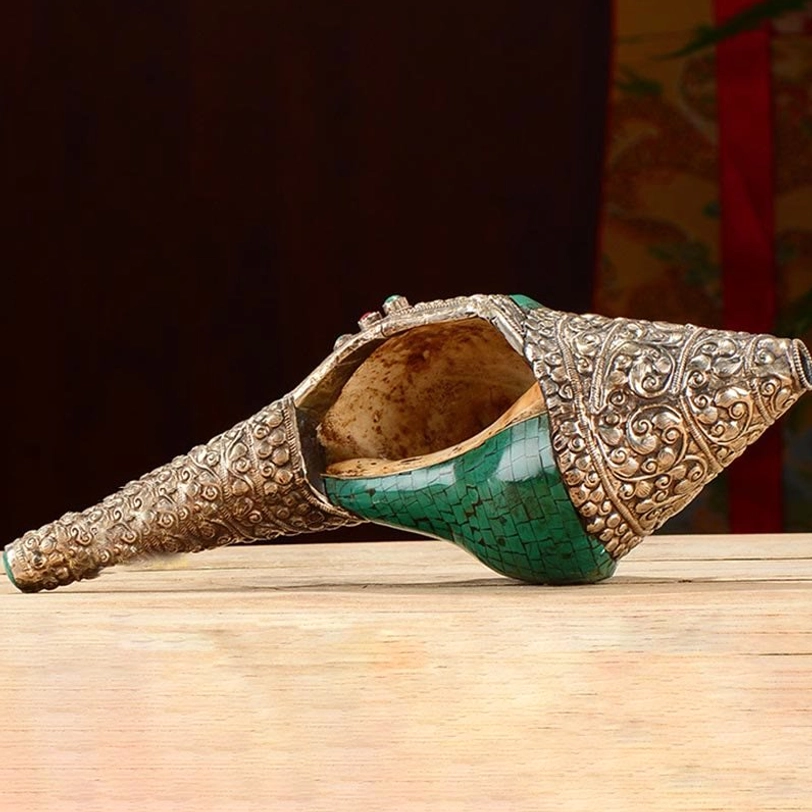 Tibetan conch shell ornament bottom-side view on wooden table showing exposed conch interior with silver filigree rim and turquoise body
