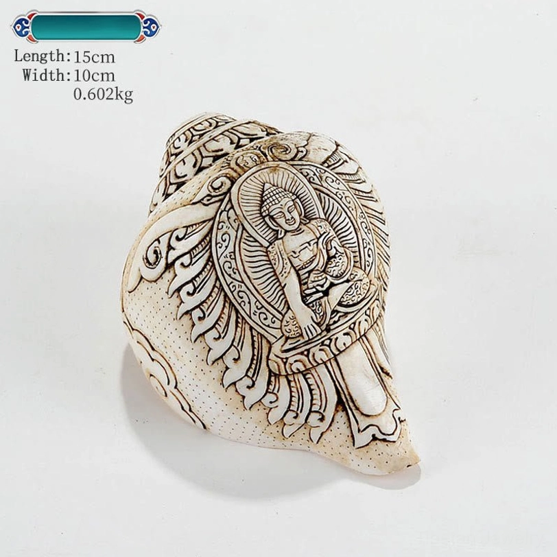 Studio photograph of natural cream-colored Tibetan engraved conch shell with seated Buddha artwork 15x10cm
