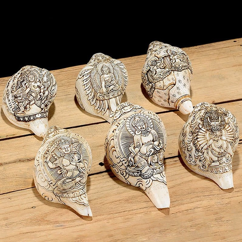 Overhead flat lay of six assorted handcrafted Tibetan engraved conch shells showing variety of Buddha and deity designs