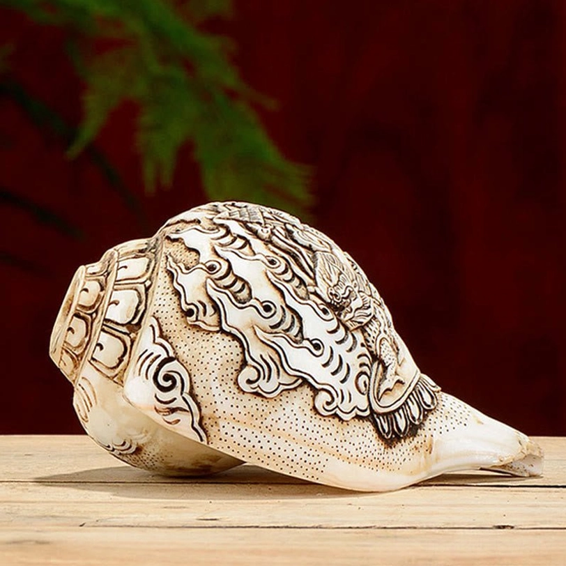 Single Tibetan engraved conch shell with mythical deity pattern and traditional Himalayan cloud motif carvings