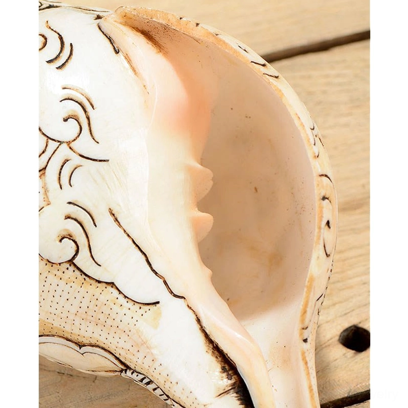 Close-up detail of conch shell interior showing hand-carved cloud patterns and pale pink inner cavity of natural shankha