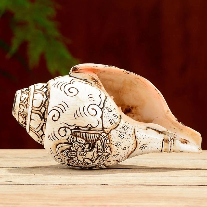 Handcrafted Tibetan shankha conch shell King of Treasure engraved design authentic Buddhist decoration