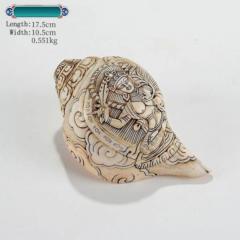 Studio-lit Tibetan handcrafted engraved conch shell with deity patterns 17.5x10.5cm natural shankha decoration
