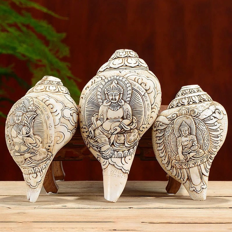 Three natural shankha conch shells with intricate hand-engraved Buddhist iconography and cloud scrollwork designs