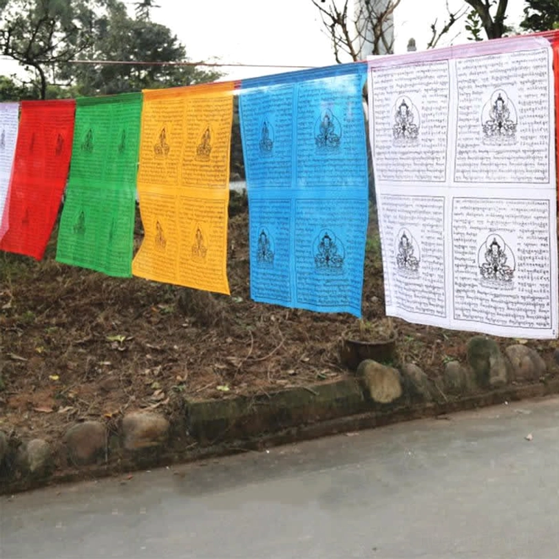 Tibetan prayer flags strung on rope displaying complete five color set in natural outdoor ground setting with spiritual atmosphere