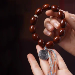 Tibetan zodiac charm bracelet held in hand, reddish brown bodhi beads with silver OM pendant and blue-orange tassel on dark background