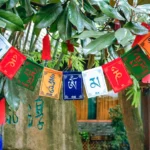 Tibetan windhorse prayer flag with colorful mantras hanging outdoors under green tree foliage, multicolored sacred flags with red tassels