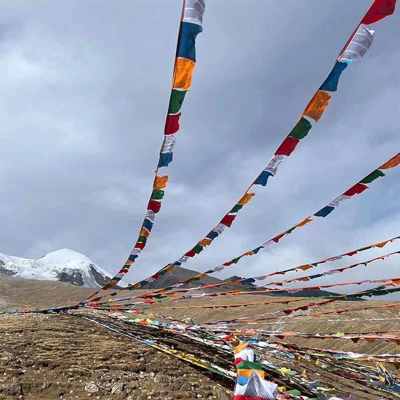 Tibetan 5-color prayer flags suspended from mountain peaks with snow background and upward perspective