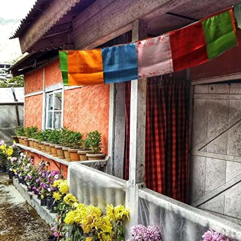 Outdoor Tibetan prayer flags strung on residential house exterior with potted plants garden decoration