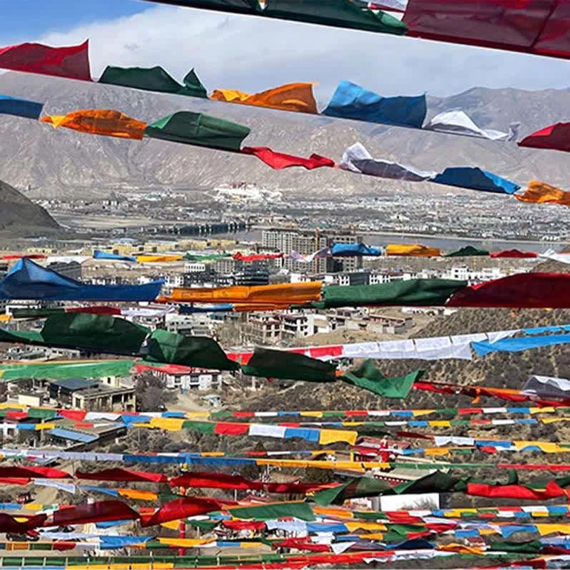 Tibetan prayer flags tree installation natural outdoor environment blessing distribution