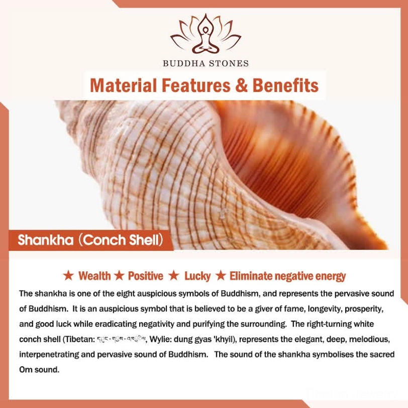 Hand-carved sacred shankha conch shell featuring intricate Buddhist carvings and protective turquoise gemstones
