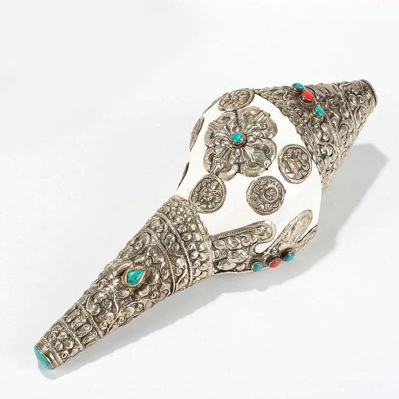 Extra large Tibetan shankha conch shell 31cm meditation altar centerpiece with elaborate dragon carved silver mount