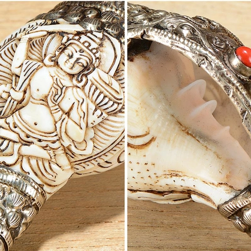 Two-part Tibetan conch close-up showing front Buddha relief carving and interior mouth cavity view