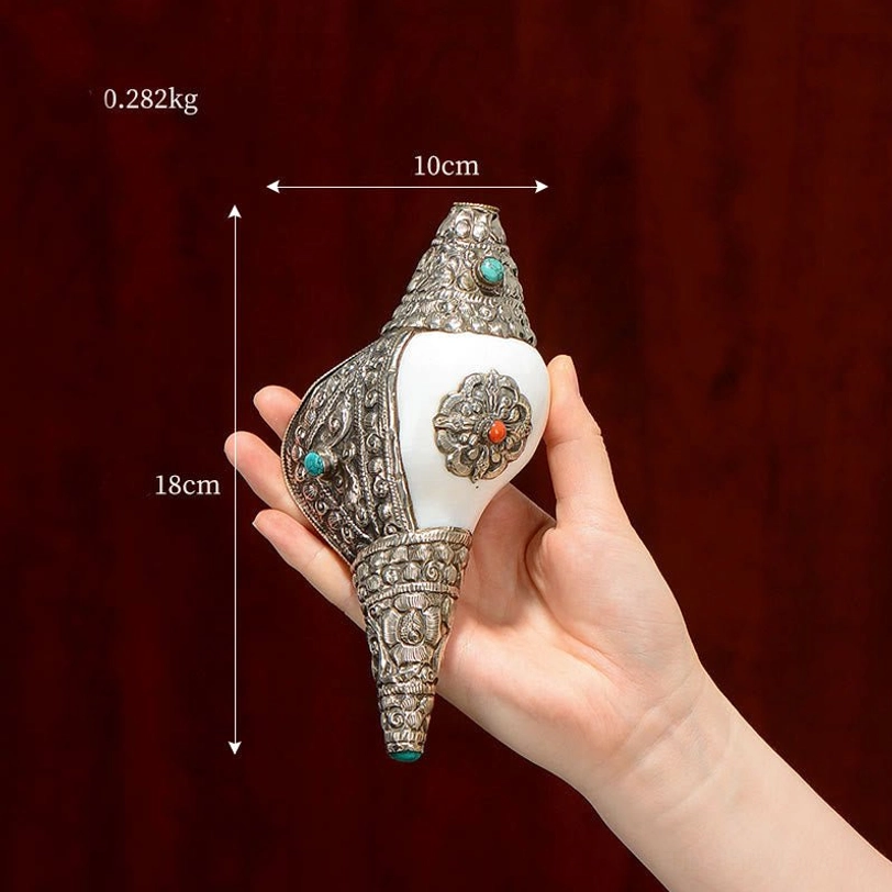 Medium Tibetan shankha conch shell 18cm size with carved silver mount and protective base