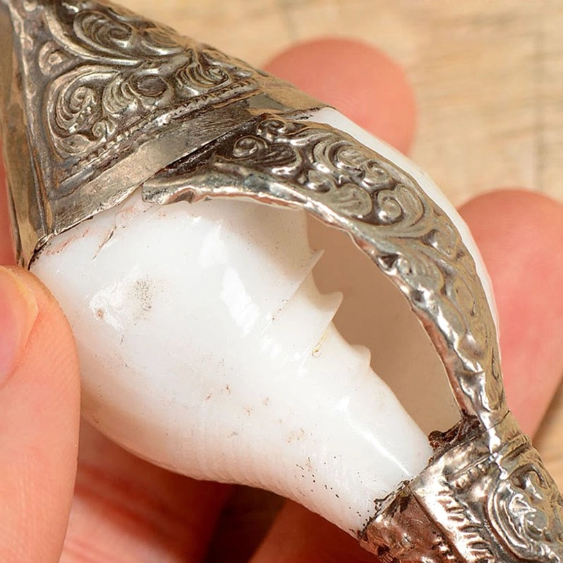 Tibetan shankha conch shell prosperity symbol with natural white shell and handcrafted silver ornamental base