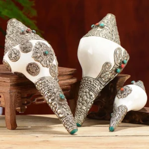 Tibetan shankha conch shell with carved silver dragon mounts and turquoise inlay on wooden display stand