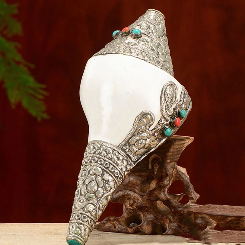 Close-up macro view of Tibetan shankha conch shell showing carved silver edge detail and natural conch texture