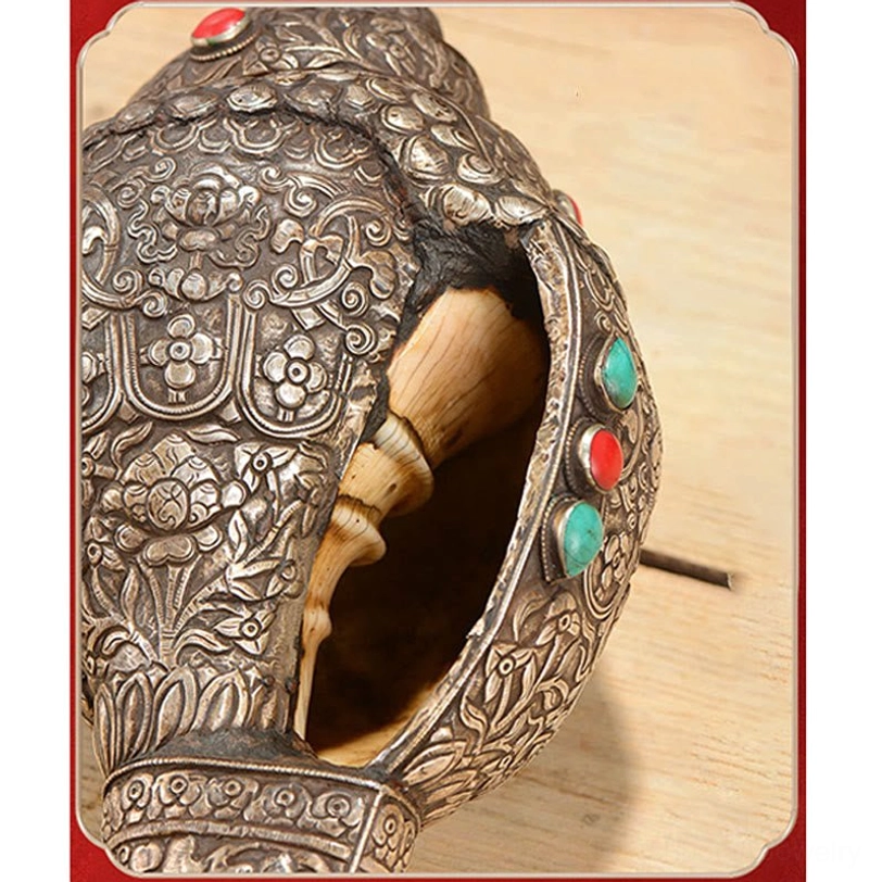 Cross-section close-up view of Tibetan shankha conch shell showing inner hollow cavity and outer engraved auspicious symbols with turquoise accents