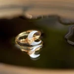 White Tridacna crescent moon 14K gold blessing ring top-down view showing natural shell inlay and twisted metal wrapping detail