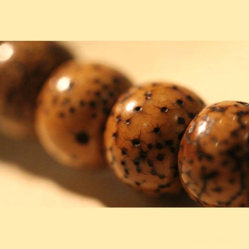 Zakiram Goddess bracelet with natural bodhi seeds and dzi beads representing wealth protection and spiritual enlightenment
